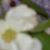 Michelle Beazley's profile image