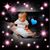 Tania Cook's profile image