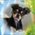 Cindy Muir's profile image