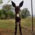 Strick Strick's profile image
