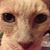 Michelle Lynn Cafaro's profile image