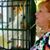 Marilyn Cordova's profile image