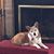 Sue Elliott Wright's profile image