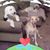 Vicki Jean McCarty's profile image