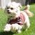 Tami Caparas-Hildahl's profile image