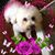 Levetta Black-Perry's profile image
