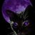 Christine Lucas's profile image