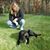 Tracy Ronan's profile image