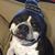 Andy Steil's profile image