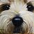 Aislinn O'Neill's profile image