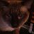 Luann Vongroven's profile image