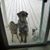 Dustyn Seaweard's profile image