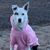 Jill Lienhard's profile image