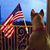 Tammy Bowen-Collins Strassenberg's profile image