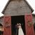 Kristi Leeth's profile image