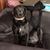 Amanda Gilbo's profile image