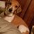 Sally Fuller's profile image