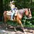 Sandi Burt's profile image