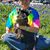Shari House's profile image