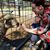 Ramona Sepulveda Flores's profile image