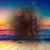Lisa McNeil Shepherd's profile image