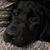 Ken Thomas's profile image