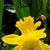Deborah Hoke's profile image