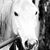 Jan Carter's profile image