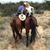 Triesta Wunder's profile image