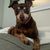 Virginia Helmendach's profile image