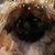 Cheryl Kehoe Miranda's profile image