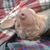 Michael Alexander's profile image