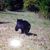 Jayne Saltus's profile image