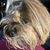Brianne Fink's profile image