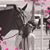 Michelle Luker Tuton's profile image
