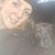 Michelle Shell's profile image