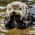 Noelle Wikert - Walker's profile image