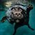 Robin Putscher's profile image
