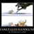 Jim Robinson's profile image