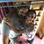 Sarah Anderson's profile image