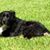 Debbie Beckman's profile image