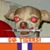 Dennis Bell's profile image