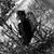 Alison Sweeney's profile image