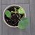 Catherine Bersch's profile image