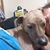 Shell Ayesh Mulkey-Parker's profile image