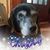 Wendy Gerdis Stoneburner's profile image