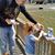 Sherry Robles's profile image