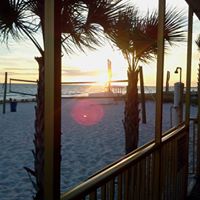 Toni Stroehmer Figliolo's profile image