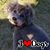 Mark Brandon's profile image
