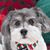 Shelly Dubick's profile image